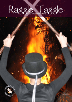 AMR Newsletter June 2011