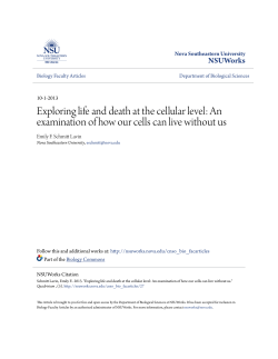 Exploring life and death at the cellular level: An