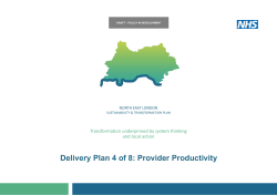 Delivery Plan 4 of 8: Provider Productivity