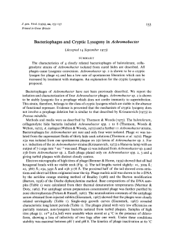 Bacteriophages and Cryptic Lysogeny in Achromobacter
