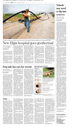 Frog only has ears for sweetie