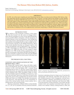The Human Tibia from Broken Hill, Kabwe, Zambia