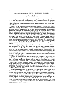 Social Stimulation within Blackbird Colonies