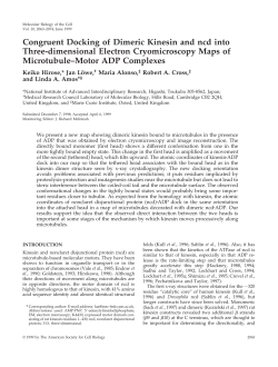 Congruent docking of dimeric kinesin and