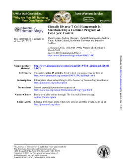 Cell-Cycle Control Maintained by a Common Program of Clonally