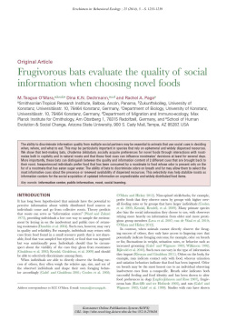 Frugivorous bats evaluate the quality of social