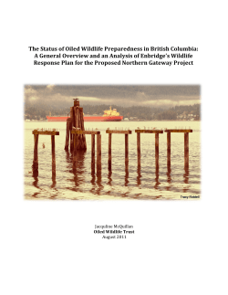 Take action - The BC SPCA