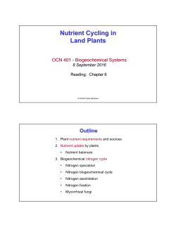 Nutrient Cycling in Land Plants