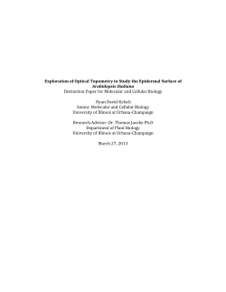 Exploration of Optical Topometry to Study the Epidermal Surface of