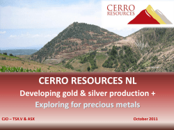 cerro resources nl