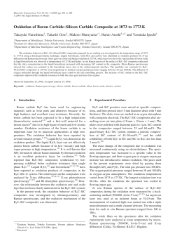 Oxidation of Boron Carbide–Silicon Carbide Composite at 1073 to