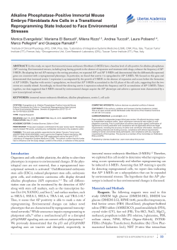 Alkaline Phosphatase-Positive Immortal Mouse Embryo Fibroblasts