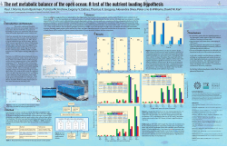 The net metabolic balance of the open ocean