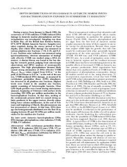 depth distributions of dna damage in antarctic marine phyto