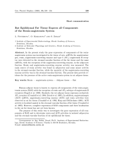 Rat Epididymal Fat Tissue Express all Components of the Renin
