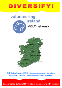 Diversify - Encouraging Cultural Diversity in Volunteering in Ireland