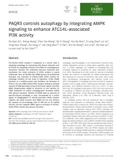 PAQR3 controls autophagy by integrating AMPK signaling to