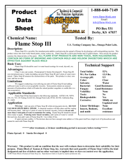 Flame Stop III - Flame