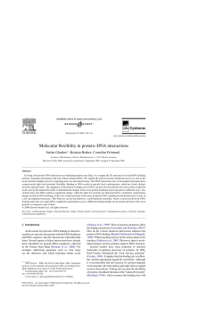 Molecular flexibility in protein&ndash;DNA interactions