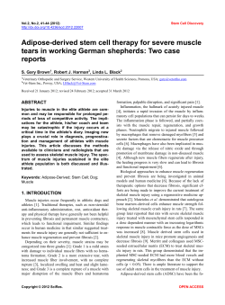 Adipose-derived stem cell therapy for severe muscle tears in