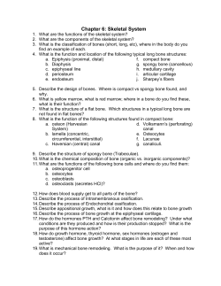 Chapter 6: Skeletal System - dr