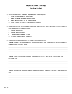 Keystone Practice Test