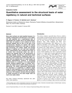 Quantitative assessment to the structural basis of