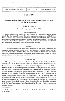 Nomenclatural revision of the genus Brassavola R. BR. of