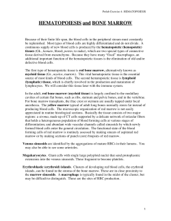 HEMATOPOIESIS and BONE MARROW