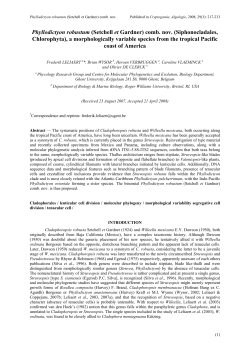 Taxonomic notes on Willeella mexicana Dawson and