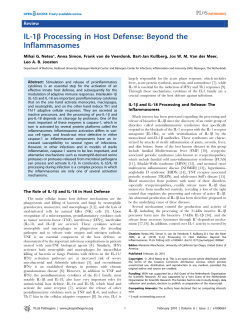 IL-1b Processing in Host Defense: Beyond the Inflammasomes