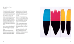 Read Complete Text - Ellen Carey Photography