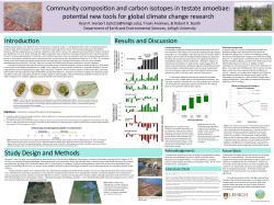 Community Composition and Carbon Isotopes in Testate Amobebae