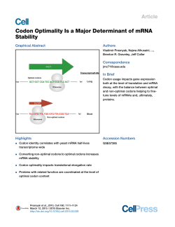 Codon Optimality Is a Major Determinant of mRNA Stability