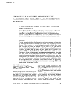 derivatized silica spheres as immunospecific markers for high