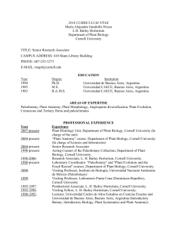 2010 CURRICULUM VITAE Maria Alejandra Gandolfo-Nixon