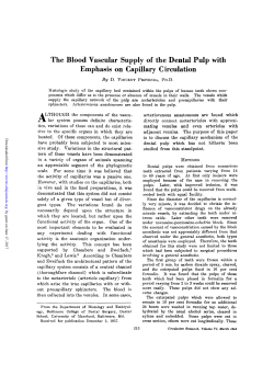 The Blood Vascular Supply of the Dental Pulp with Emphasis on