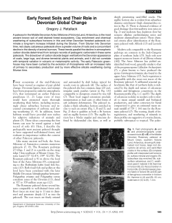 Early Forest Soils and Their Role in Devonian Global Change