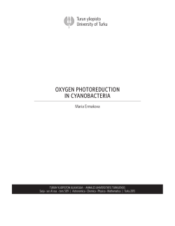 oxygen photoreduction in cyanobacteria