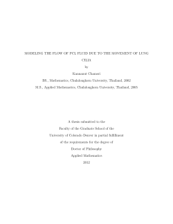 Modeling the Flow of PCL Fluid Due to the Movement of Lung Cilia