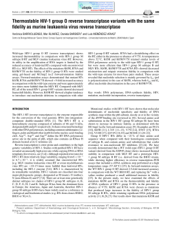 Thermostable HIV-1 group O reverse transcriptase variants with the