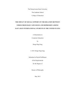 THE IMPACT OF SOCIAL SUPPORT ON THE RELATION