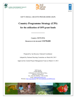 Country Programme Strategy (CPS)