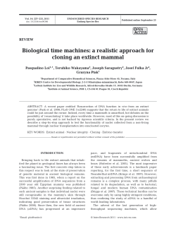 Biological time machines: a realistic approach for cloning an extinct