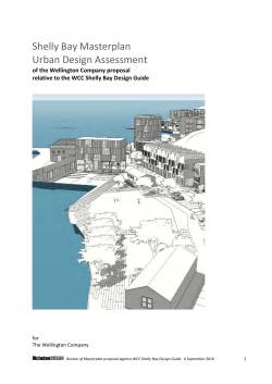 Appendix 11 - Existing Shelly Bay Design Guide Assessment
