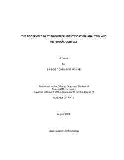 THE ROOSEVELT INLET SHIPWRECK: IDENTIFICATION
