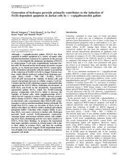 Generation of hydrogen peroxide primarily contributes to the