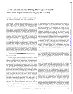 Motor Cortical Activity During Drawing Movements: Population
