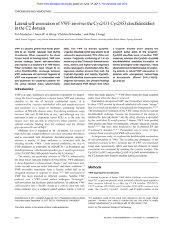 Lateral self-association of VWF involves the