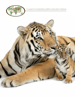 In support of outstanding wildlife conservation initiatives